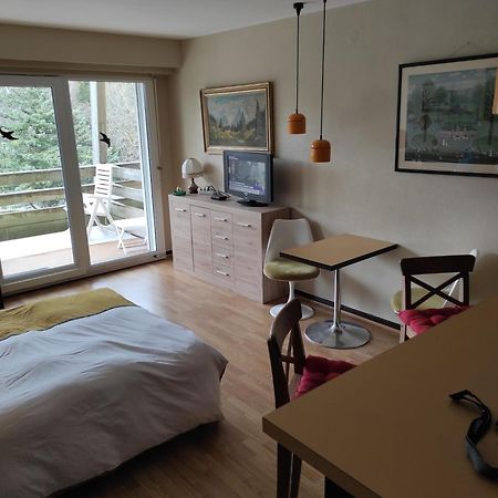 Residence Le Faucon - Col Du Donon Grandfontaine  Екстериор снимка