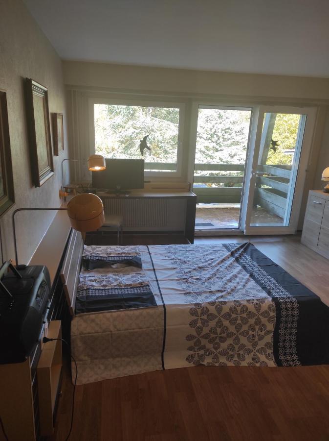 Residence Le Faucon - Col Du Donon Grandfontaine  Екстериор снимка