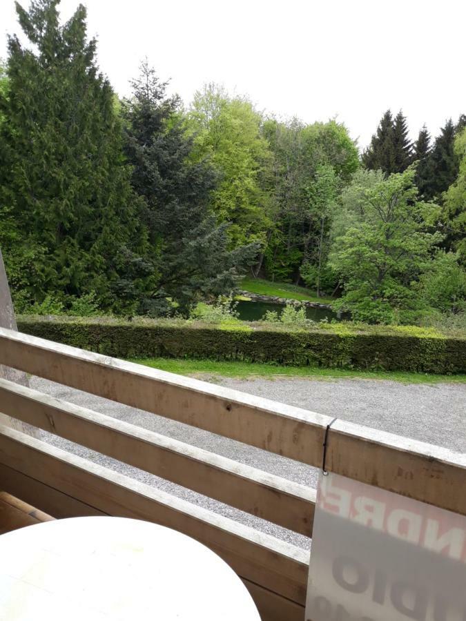 Residence Le Faucon - Col Du Donon Grandfontaine  Екстериор снимка
