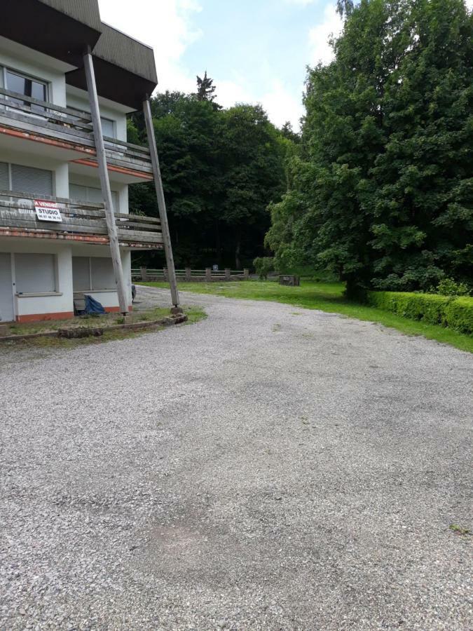 Residence Le Faucon - Col Du Donon Grandfontaine  Екстериор снимка